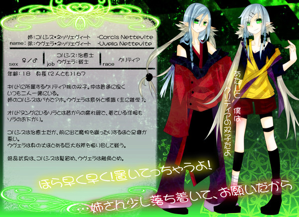 【TOmg】ネッツェヴィート姉弟【治癒士/戦士】