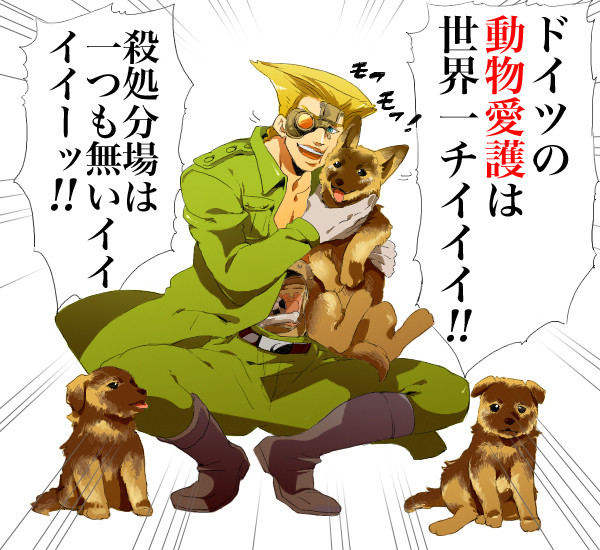 癒し系()ハイムさん