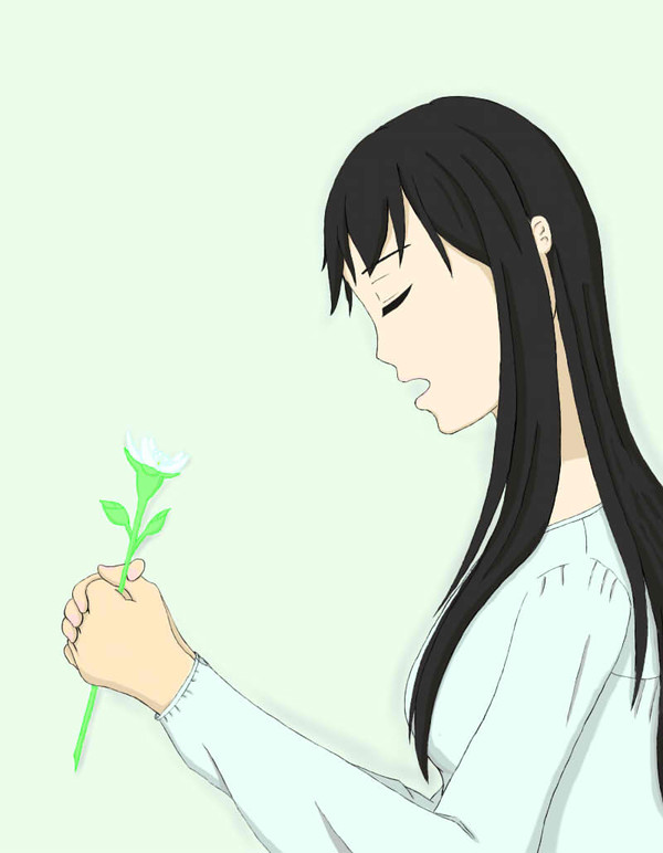 モウセンゴケ