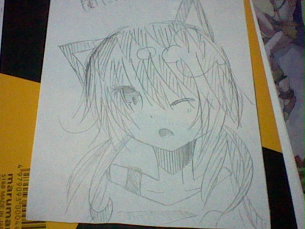 らんにゃん…！