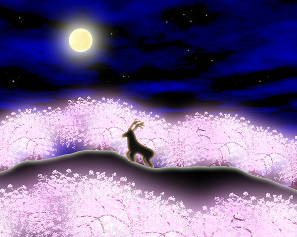 桜