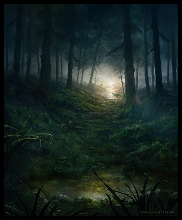 Forest Path