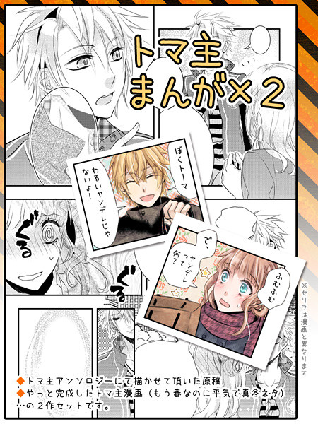 アムネまんがセット3（トマ主編）