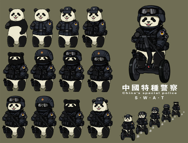 中国の特殊警察