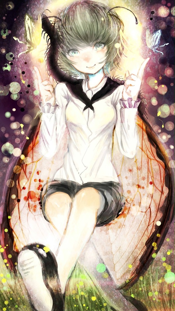 蟲達の夜