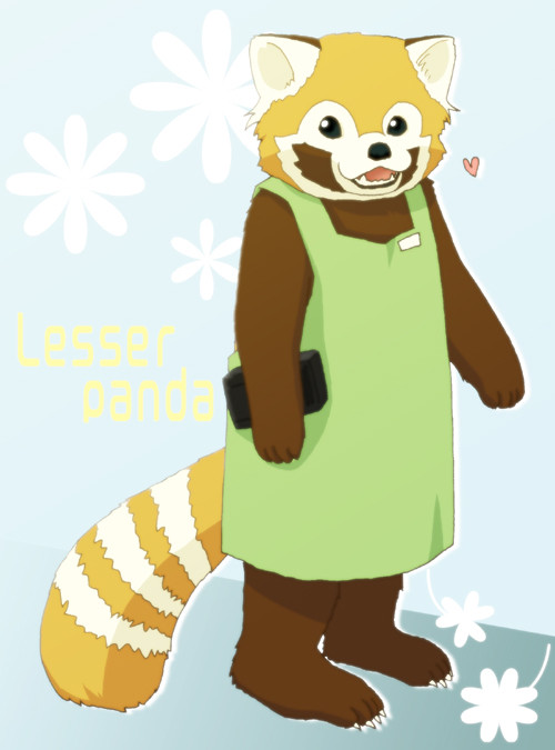 レッサーパンダくん