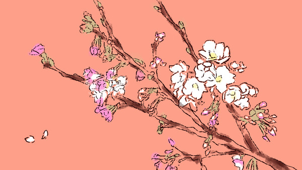 桜
