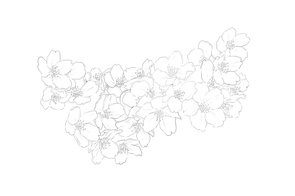 桜トレース