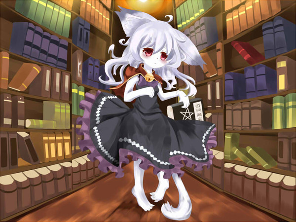 たまには本でも