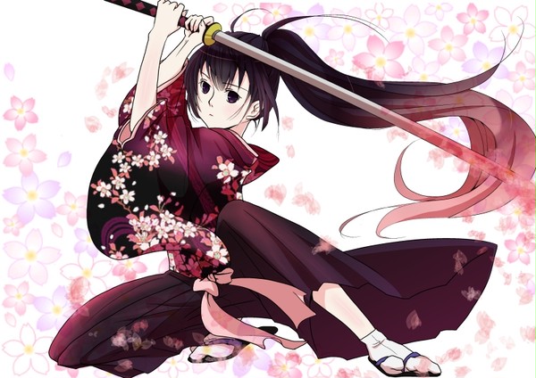 菊侍