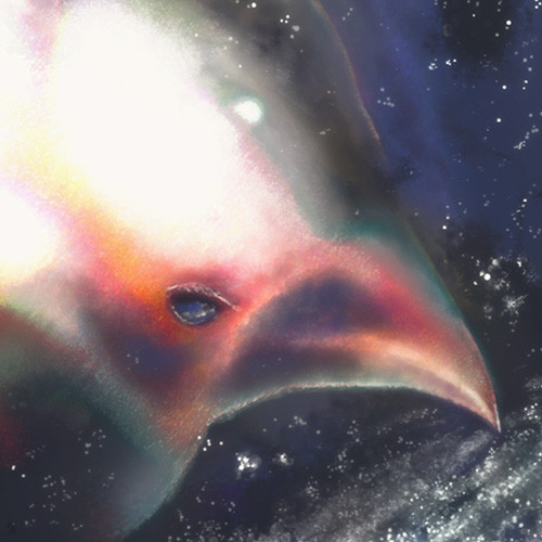 コトリの星