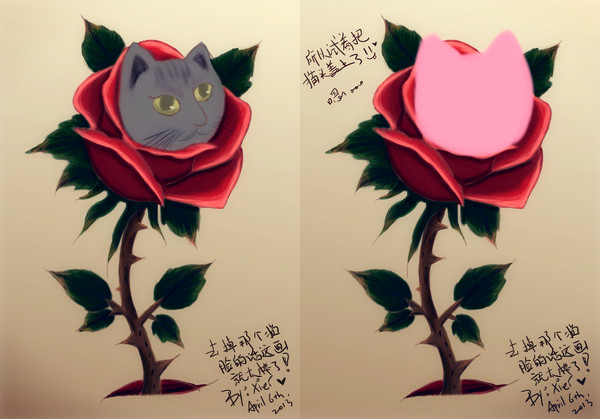 CAT'N Rose