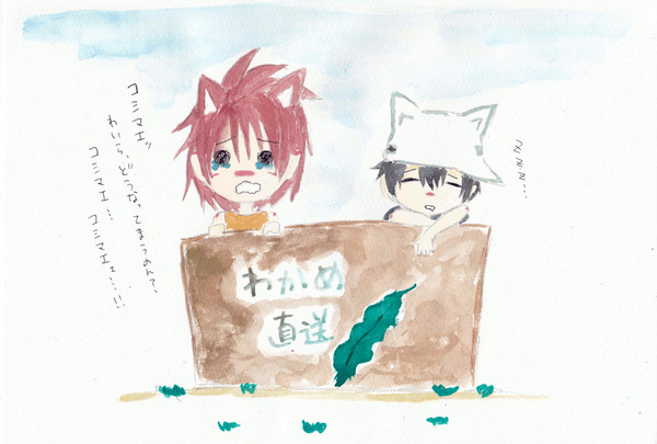 捨てられた子猫が二匹ほどいます。