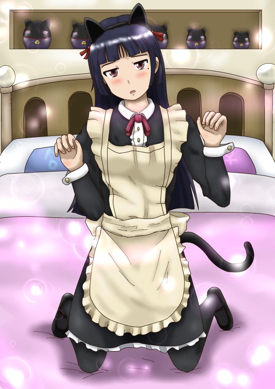 黒猫