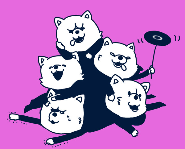 5匹