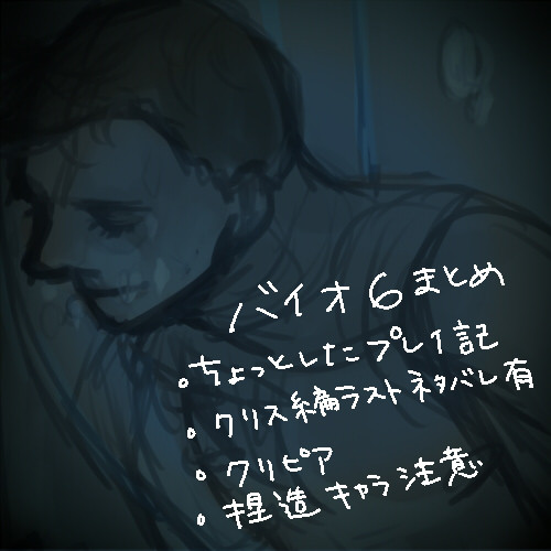 【腐向け】バイオ6まとめ