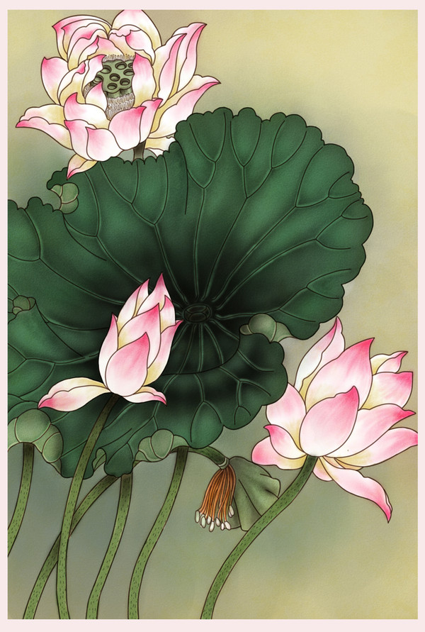 板绘工笔荷花