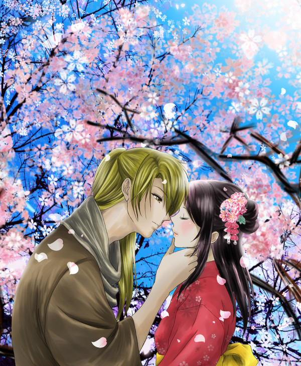 御室桜　　挿絵