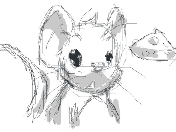 transformice