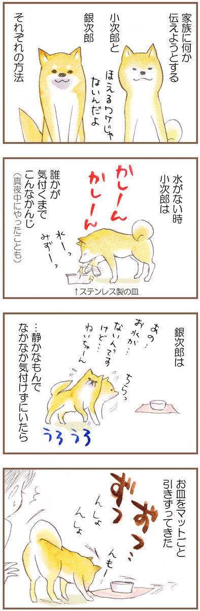 我が家のわんこ観察メモ３