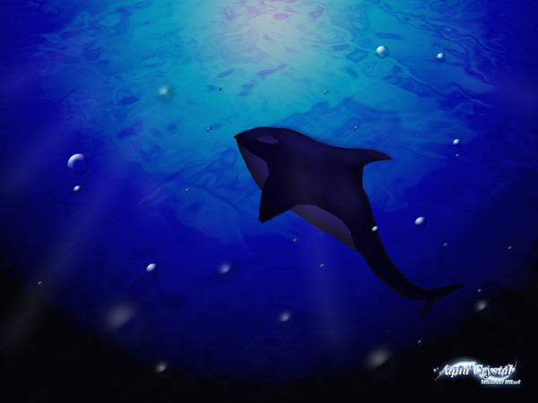 海のハンター