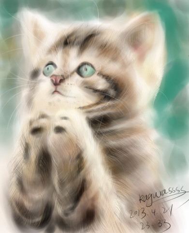 cat