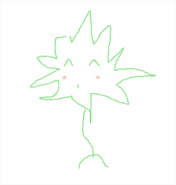 わけのわからない生きもの