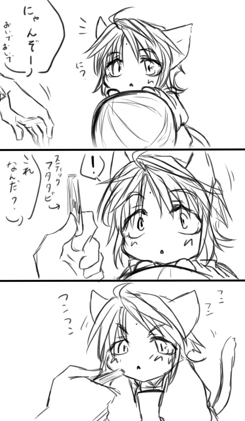 マタタビ