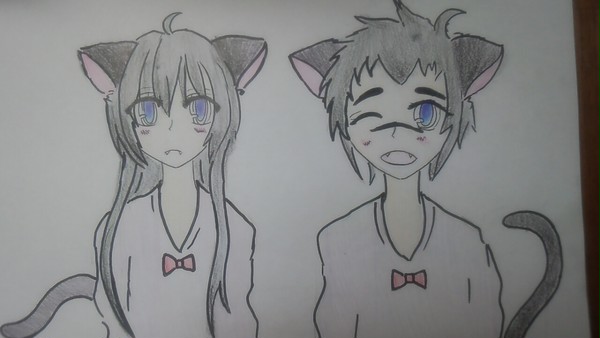ぬこぬこ(´ー`)
