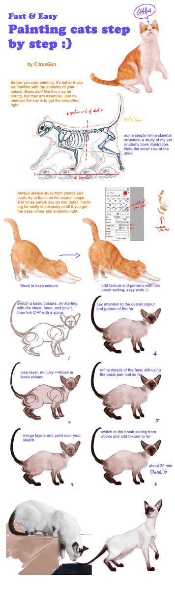 ねこの塗り方（英語ONLY）