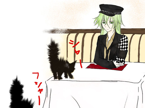 猫と