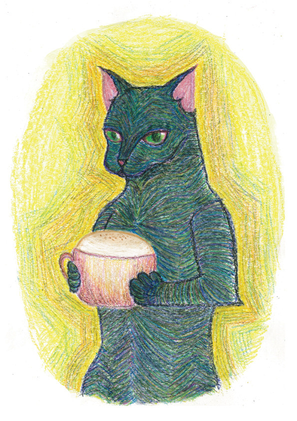 coffee cat