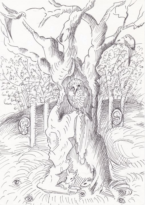 owl