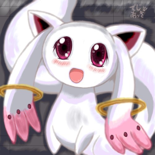 （性懲りもなく…）ボクと契約してよ♪