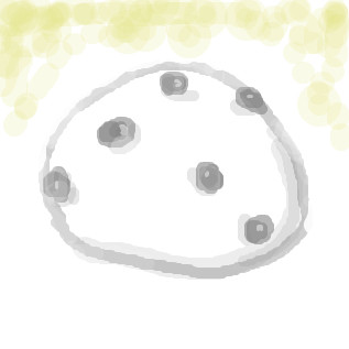 好きなもの
