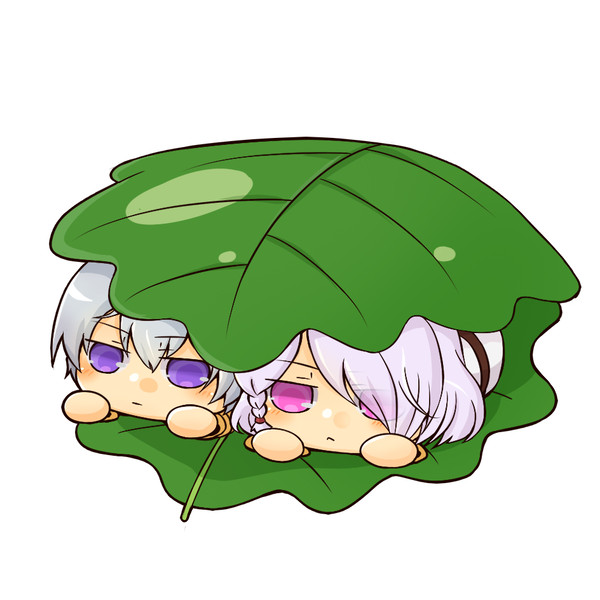 かしわもち