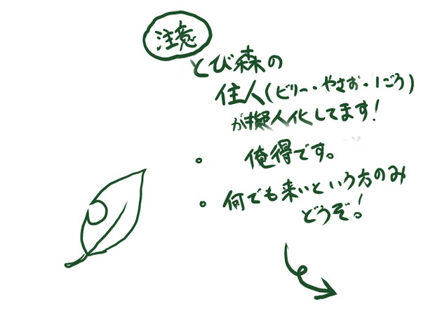 チームけっせいしてみた。