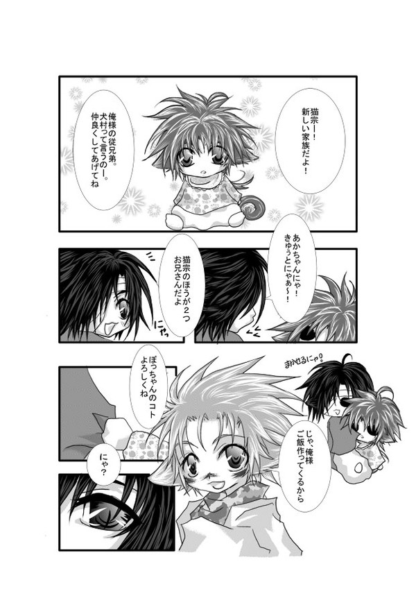 猫宗日記２
