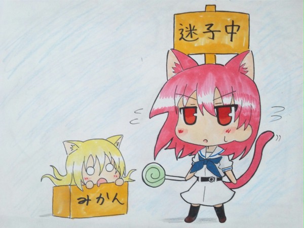 迷子の照猫