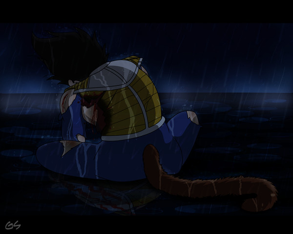 ベジータ 雨