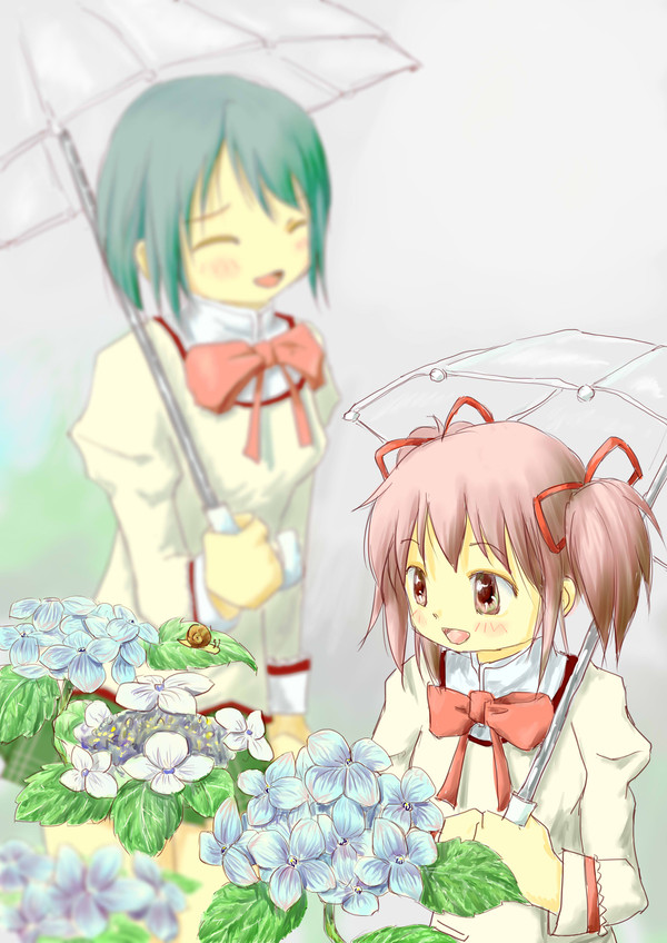 あじさいまどか