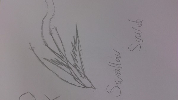 Swallow Sound