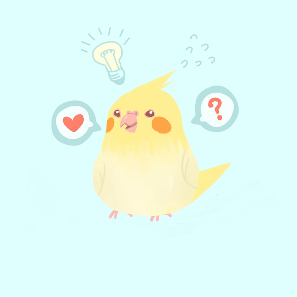 puchu ///////