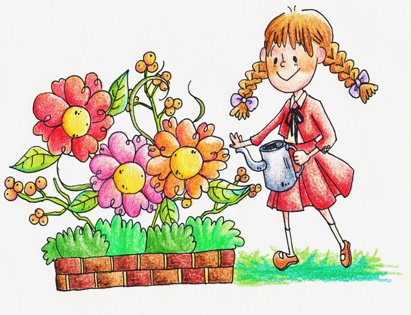 花とアルメル