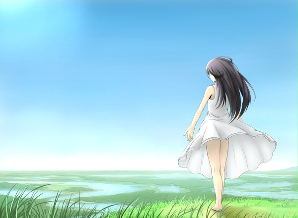 湿原