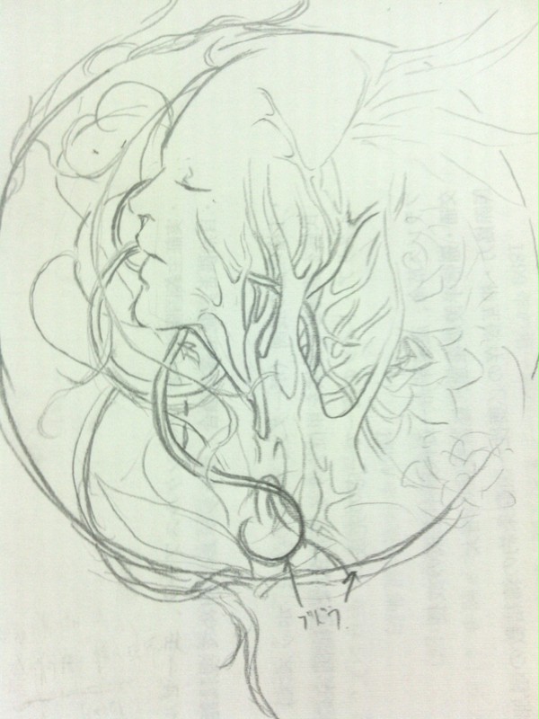 らくがき