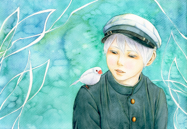 文鳥ノ恋