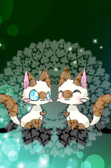 けっとしぃ。