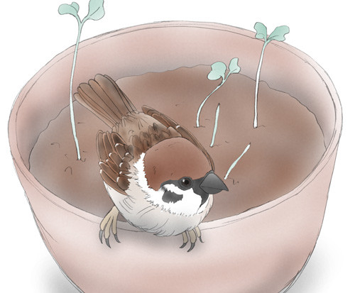 はっぱなんて食べてないよ