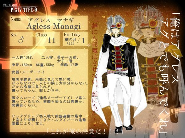 【ピク式】アグレス・マナギ【キャラシ】